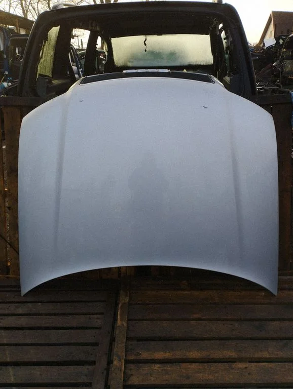 Engine bonnet/hood