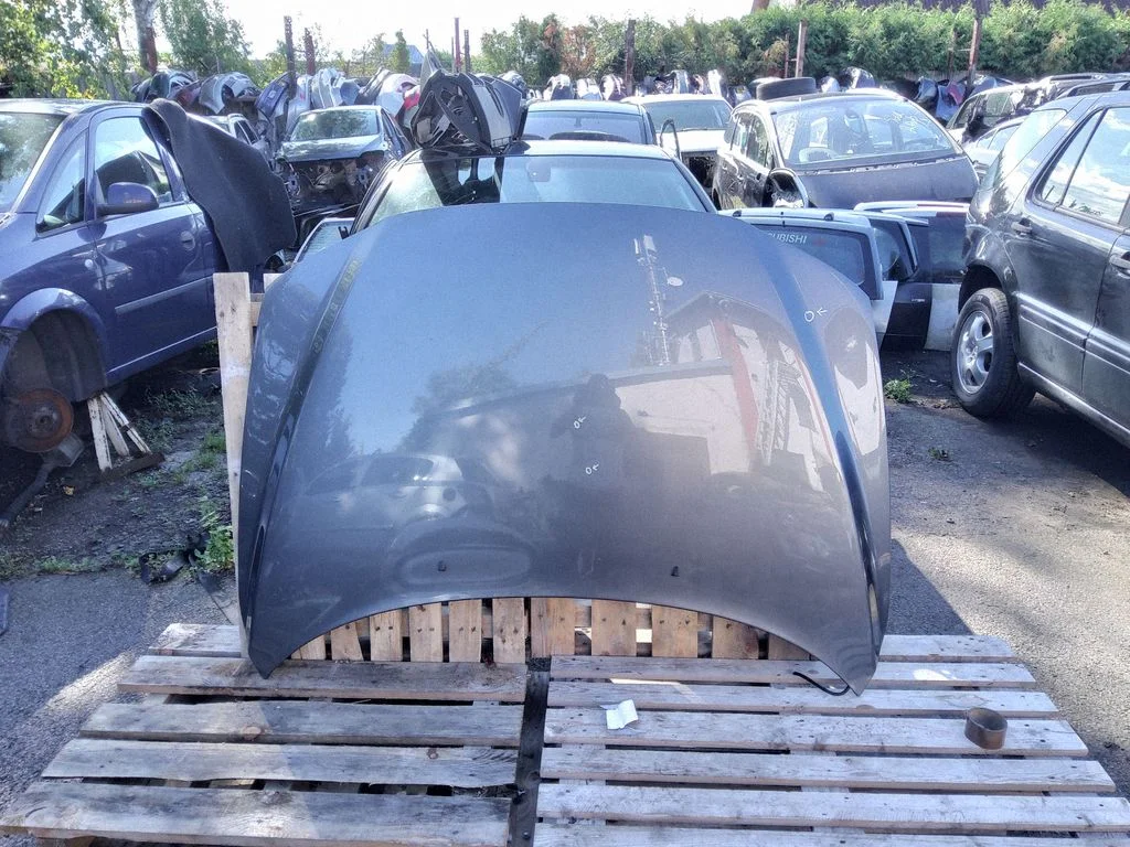 Engine bonnet/hood