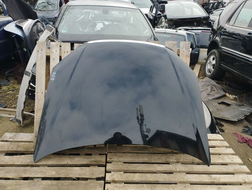 Engine bonnet/hood