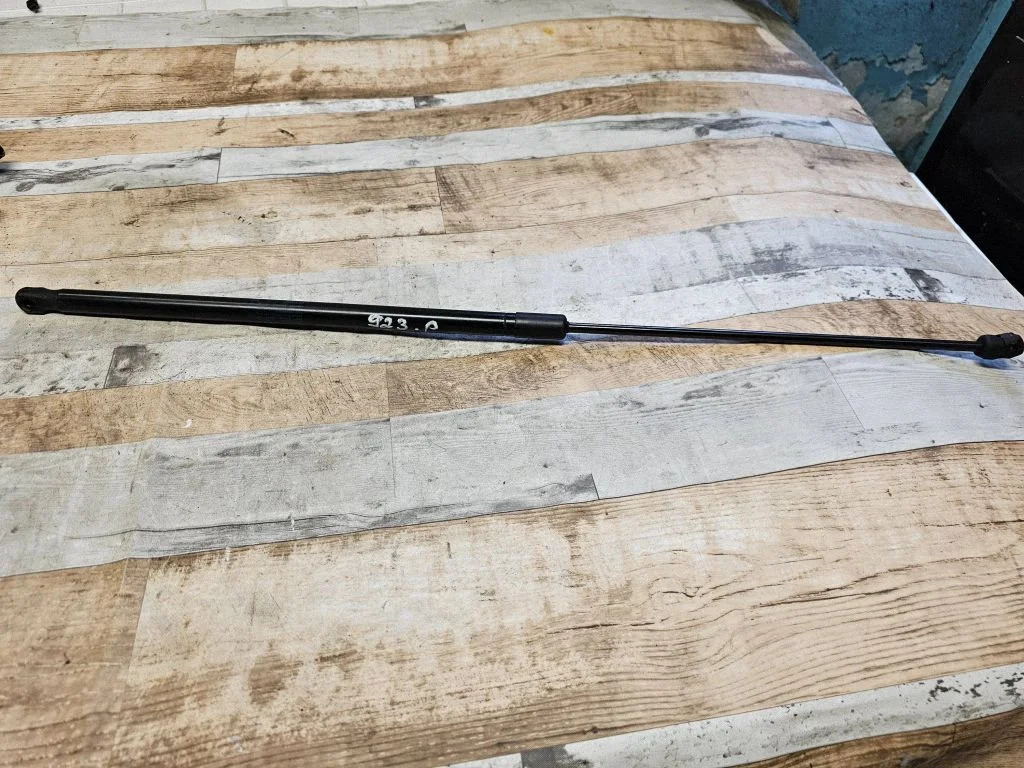 Front bonnet/hood damper/strut 3C0823359A