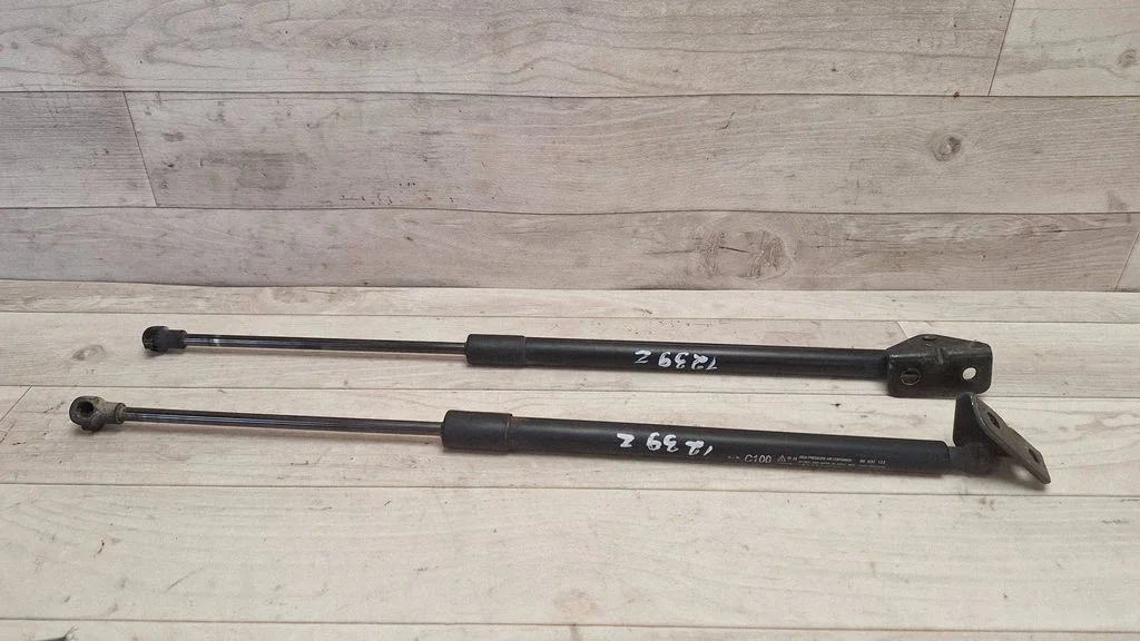 Tailgate/trunk strut/damper