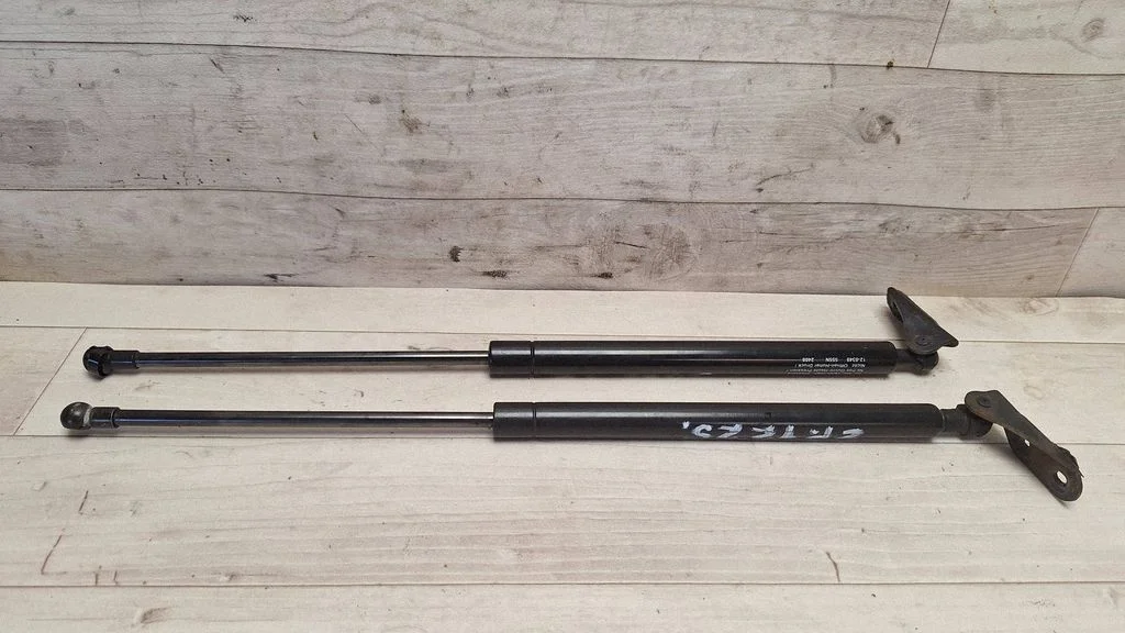 Tailgate/trunk strut/damper