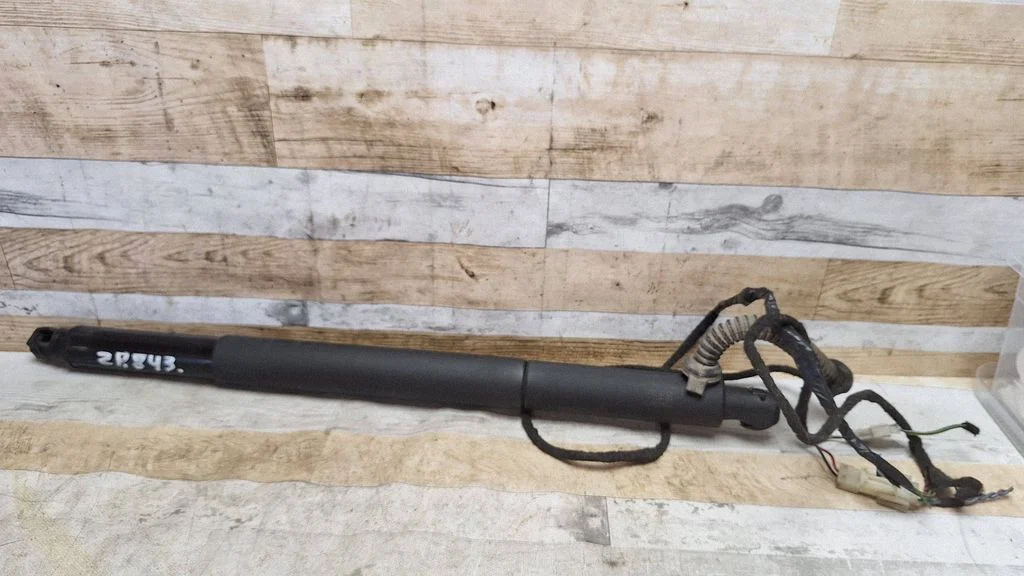 Tailgate/trunk strut/damper 729458901