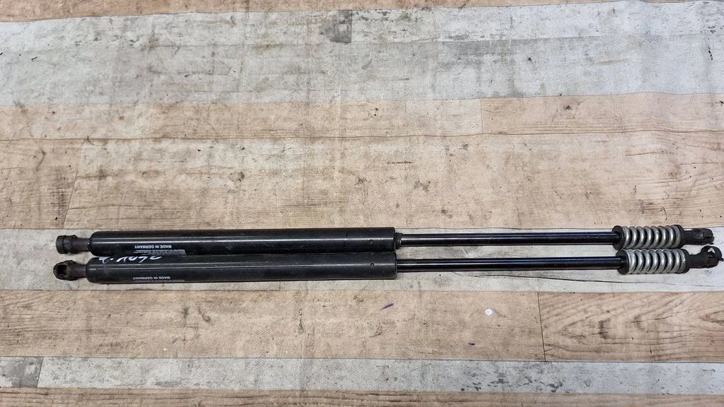 Tailgate/trunk strut/damper