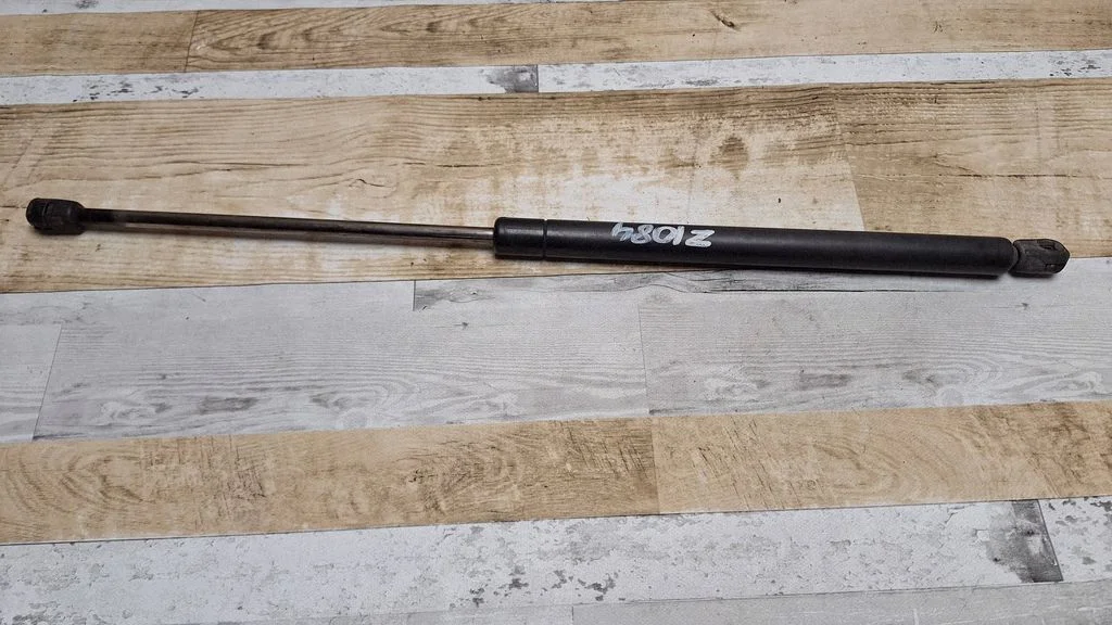 Tailgate/trunk strut/damper