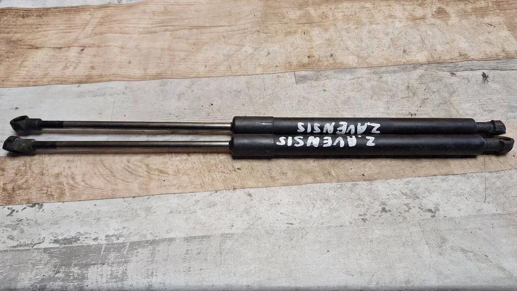 Tailgate/trunk strut/damper