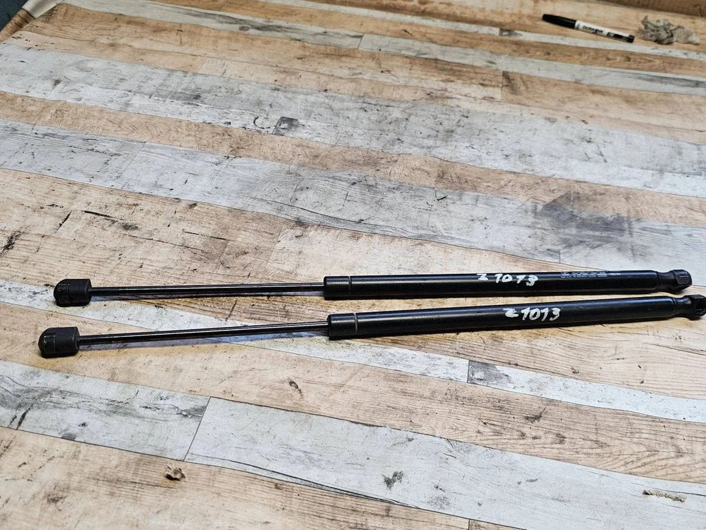 Tailgate/trunk strut/damper 21943