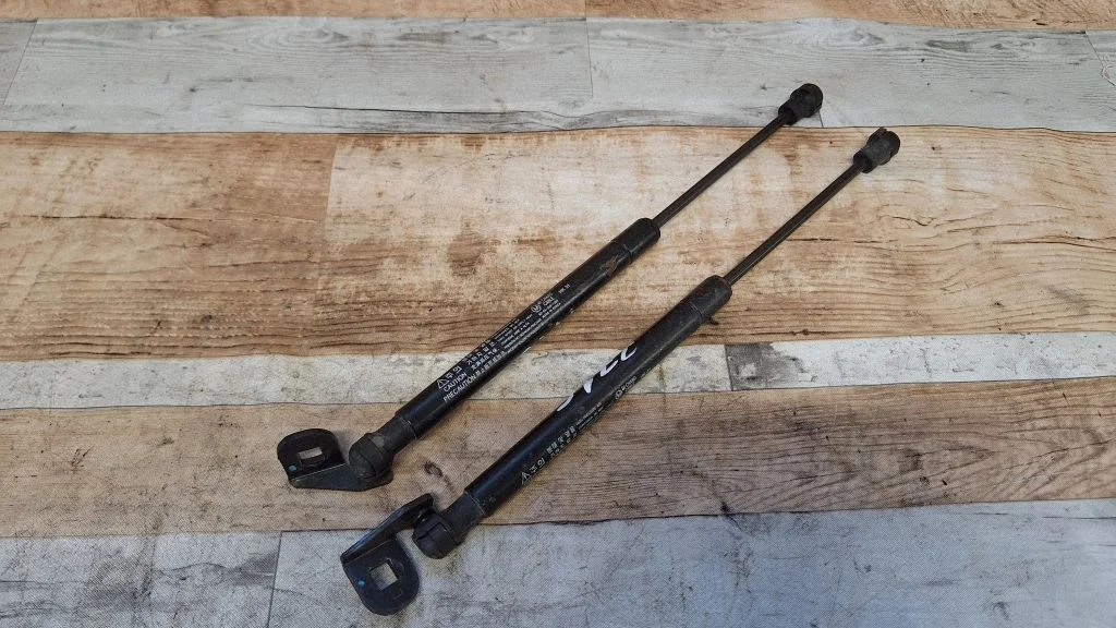 Tailgate/trunk strut/damper