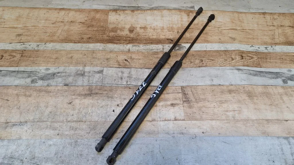 Tailgate/trunk strut/damper