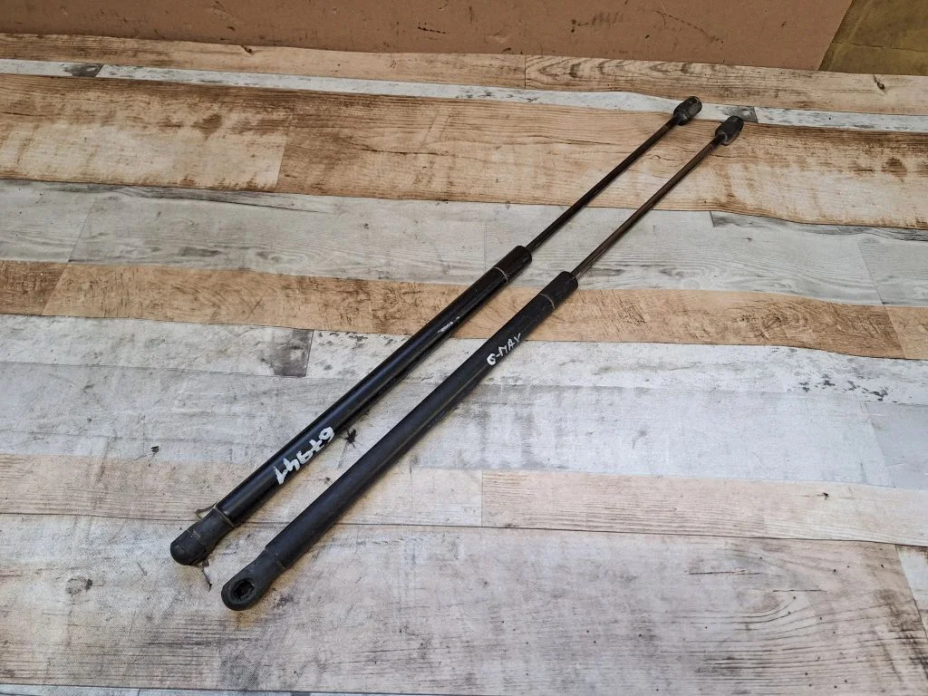 Tailgate/trunk strut/damper 3M51R406A10AB