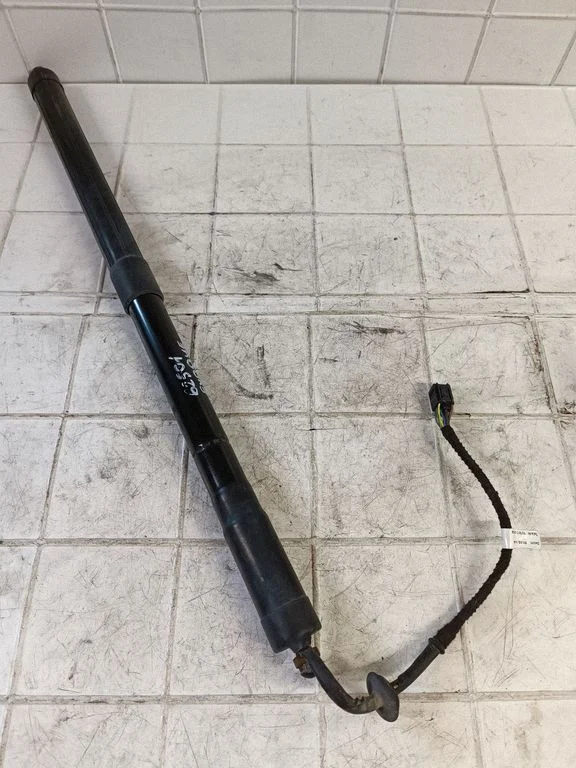 Tailgate/trunk strut/damper BJ3270354AD