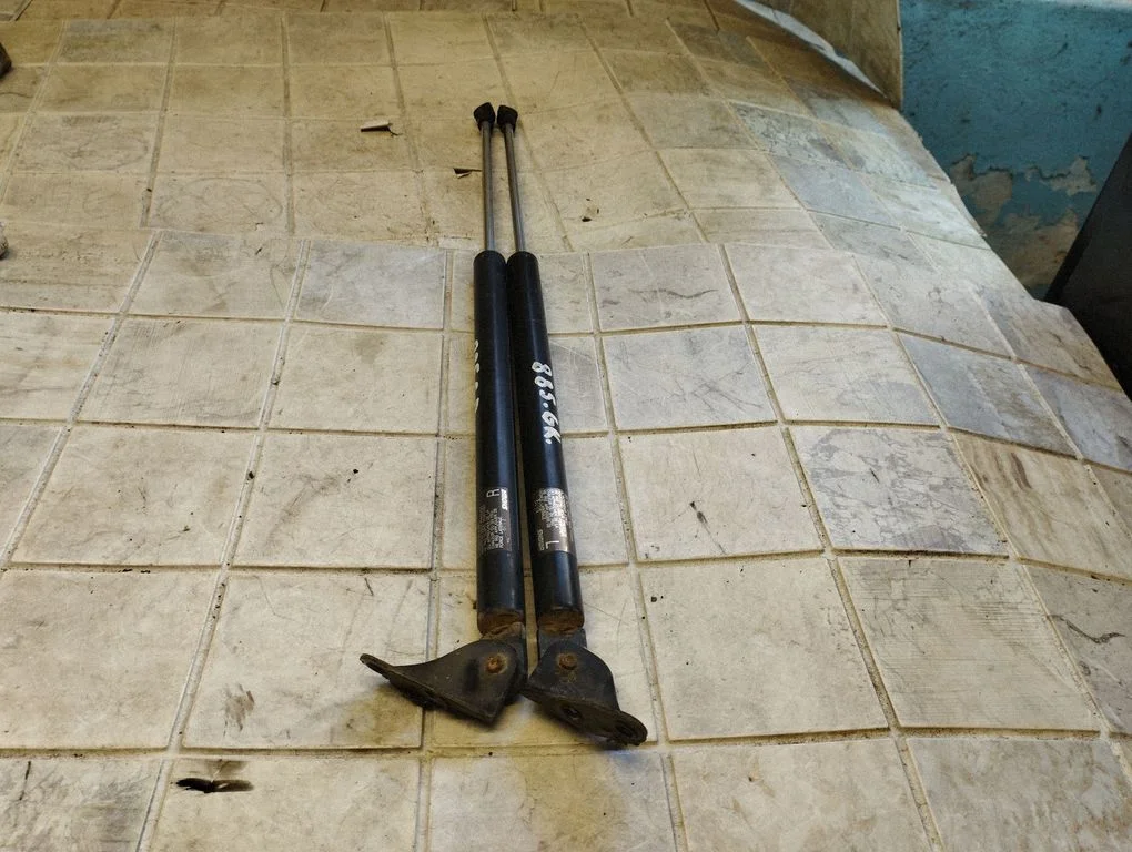 Tailgate/trunk strut/damper