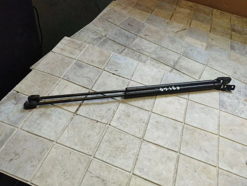 Tailgate/trunk strut/damper