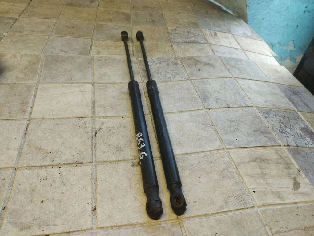Tailgate/trunk strut/damper 13122695