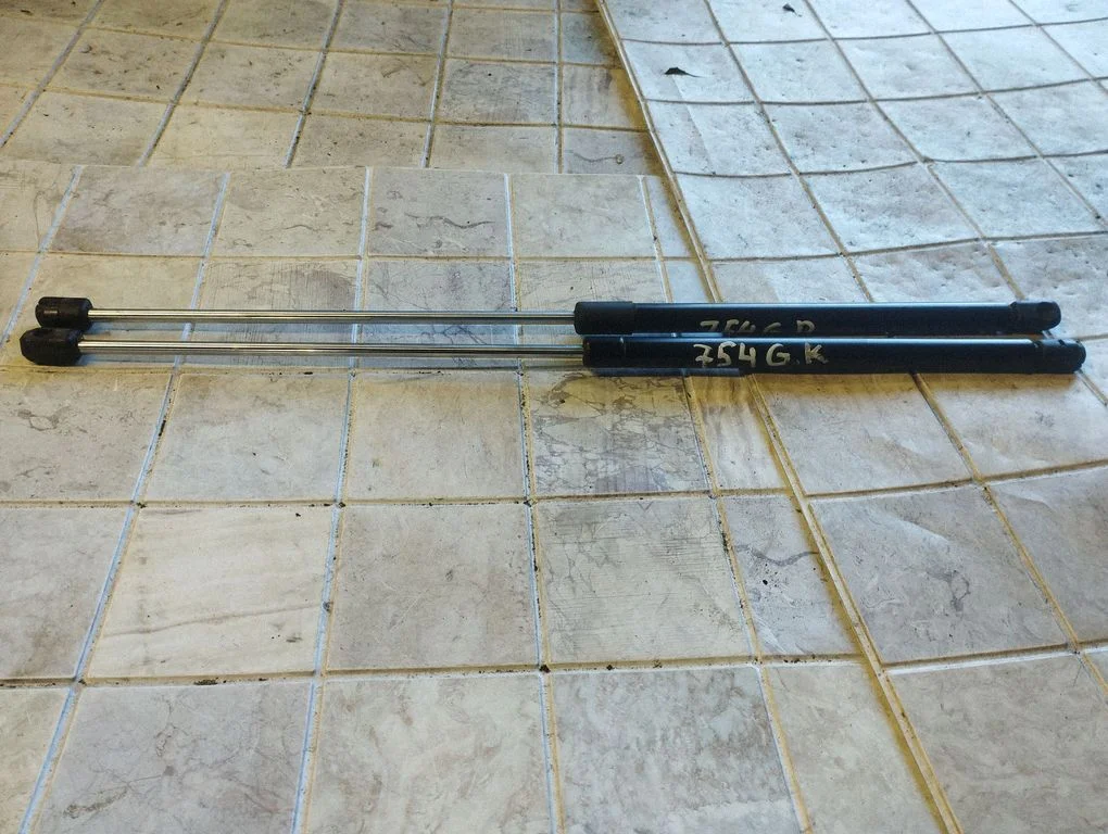 Tailgate/trunk strut/damper