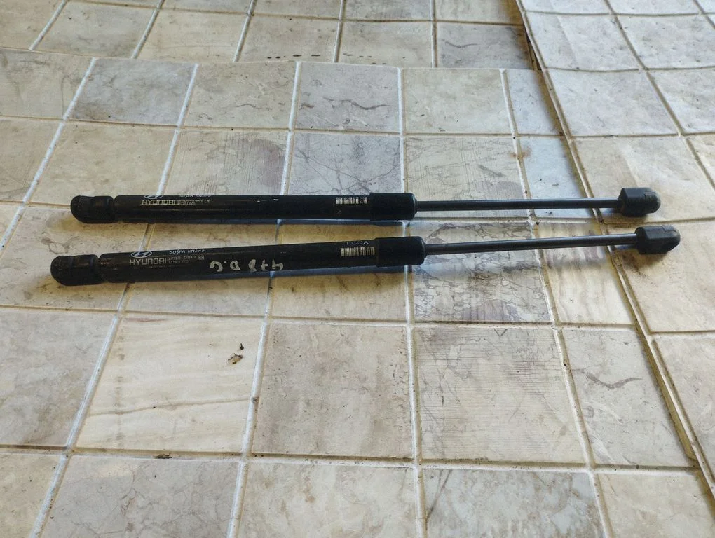 Tailgate/trunk strut/damper 8177001J000