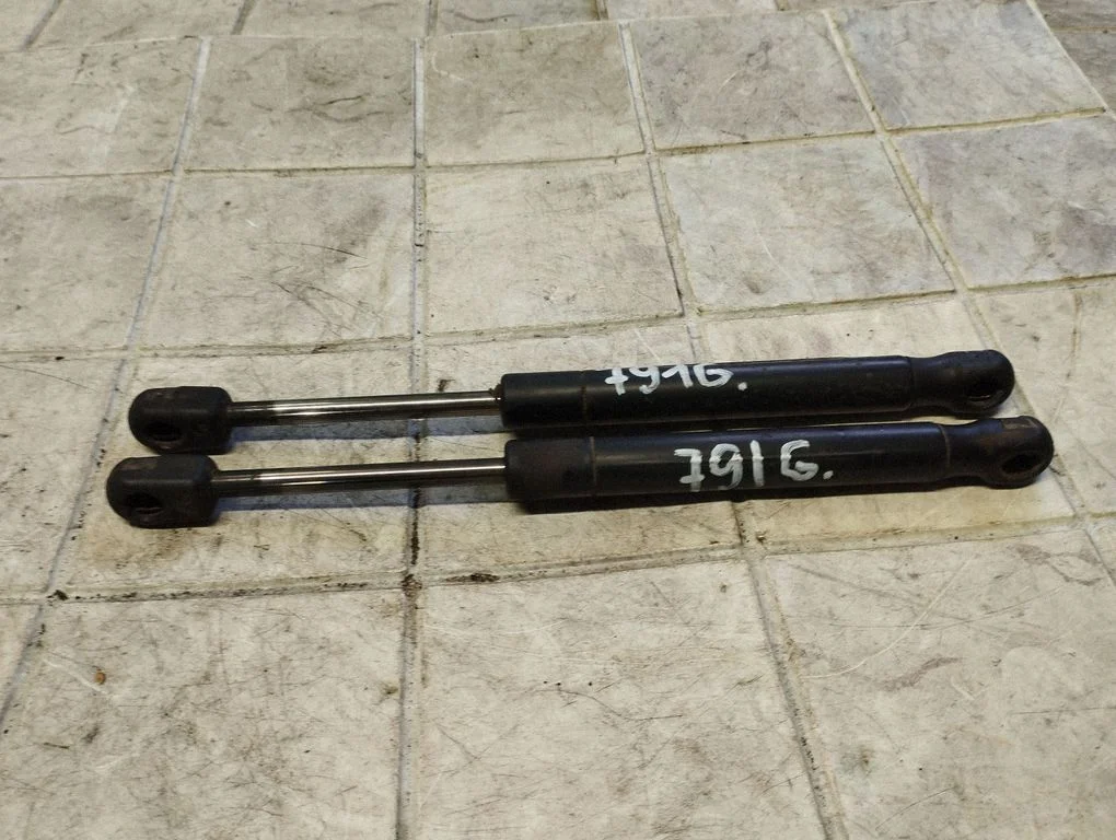 Tailgate/trunk strut/damper BN8V58930