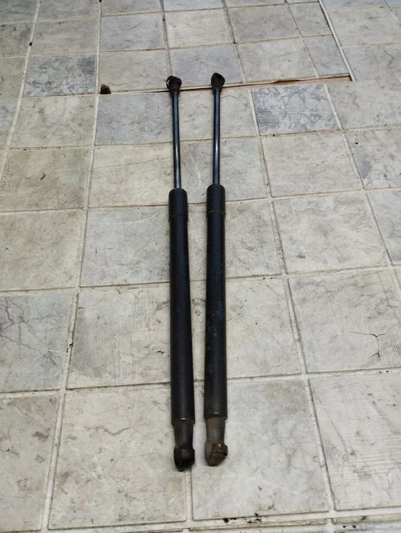 Tailgate/trunk strut/damper 6895002091