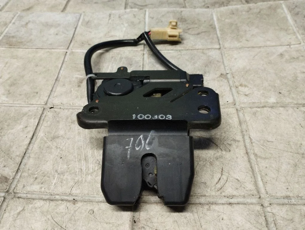 Tagaluugi lukk 100303