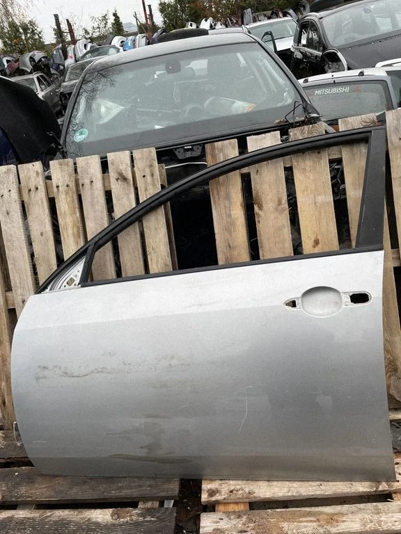 Front door – Nissan Primera (2002-2007)