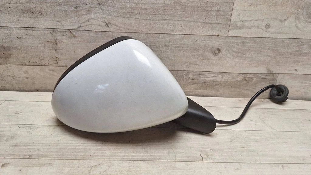 Front door electric wing mirror E1020873