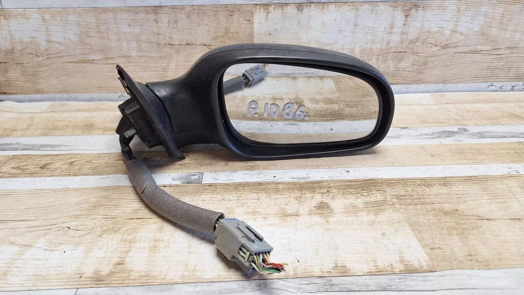 Front door electric wing mirror E11015463