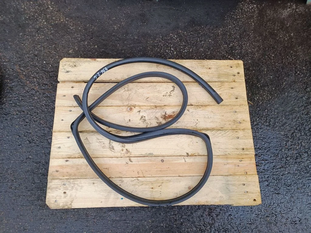 Rear door rubber seal (on body) – rear left