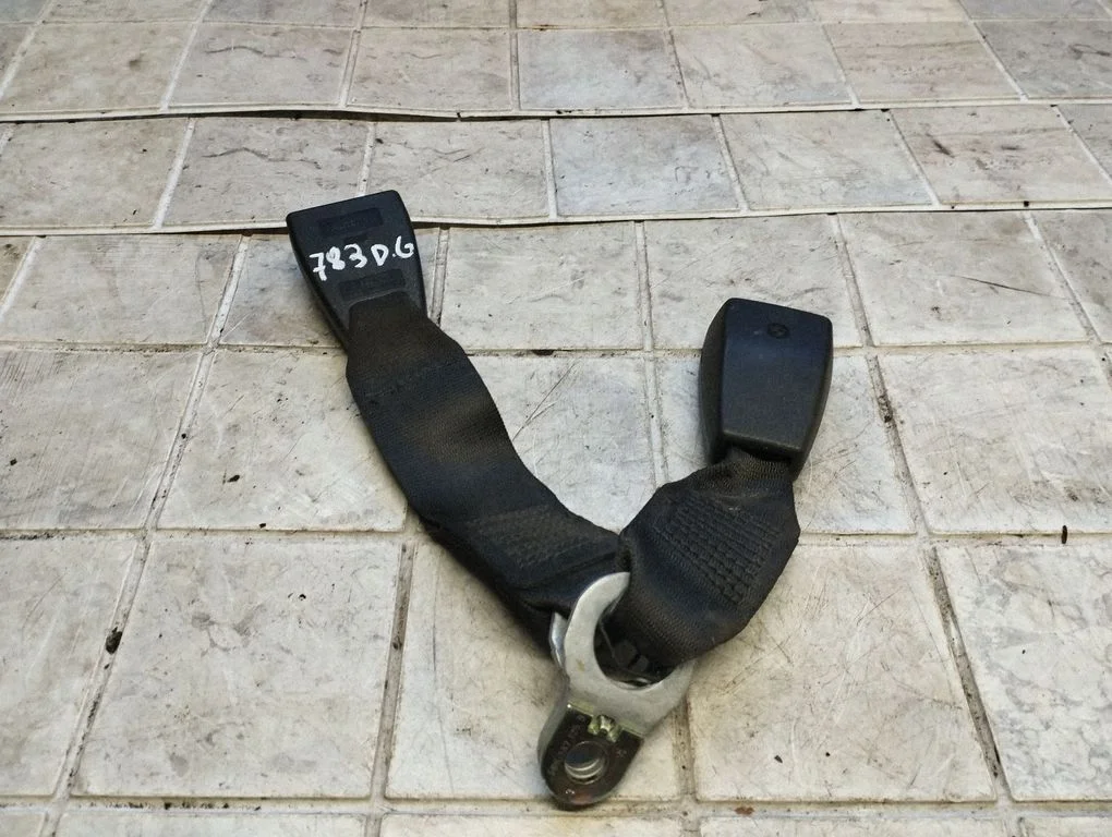 Tagumise turvavöö pannal 8233292