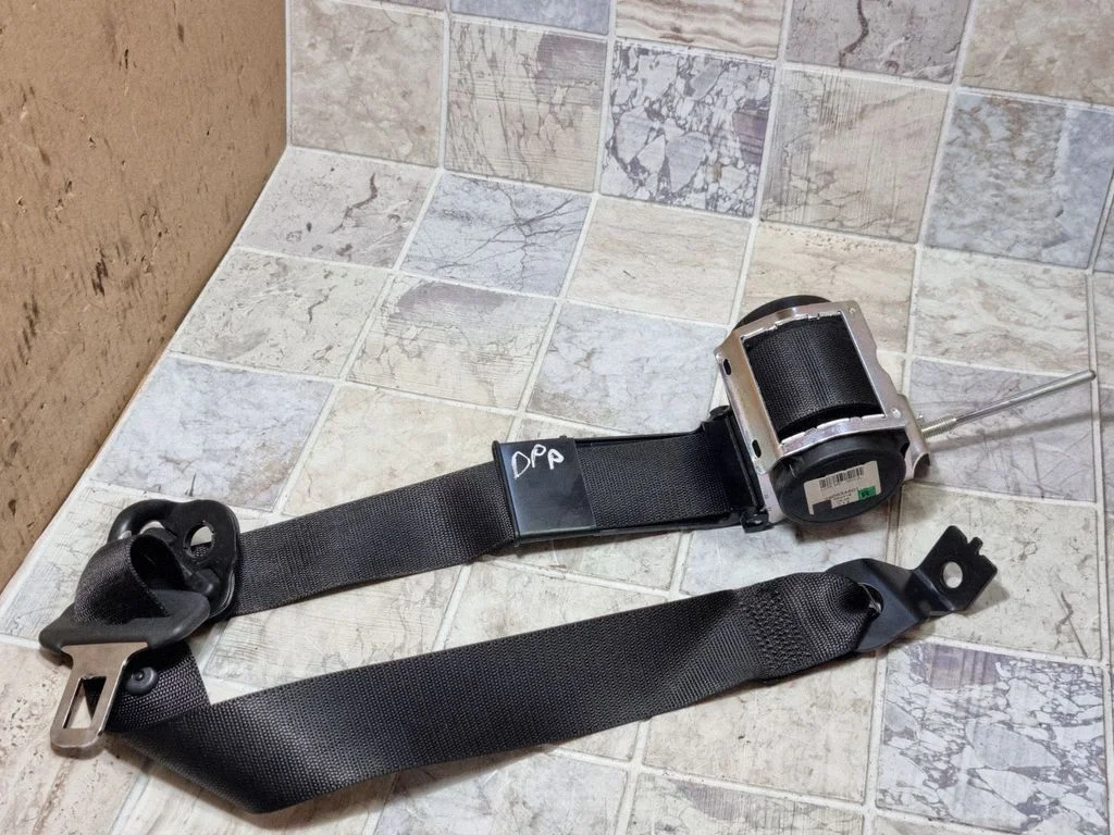 Front seatbelt 560834801