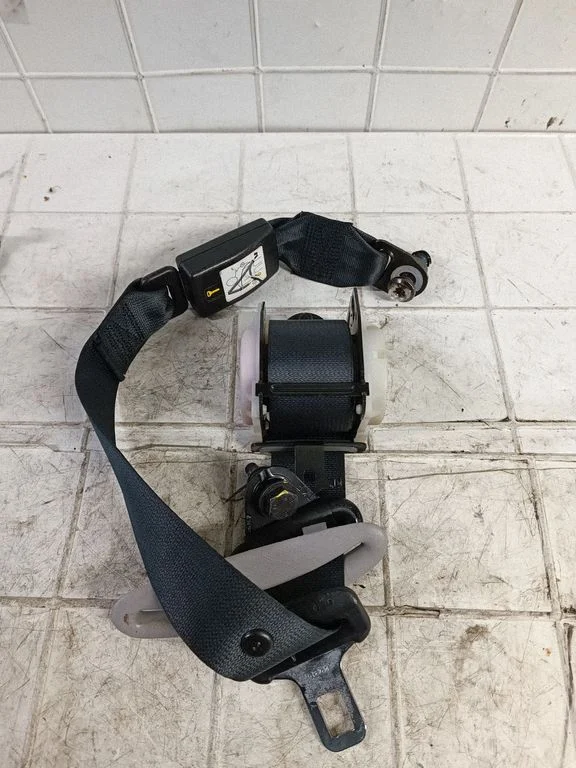 Rear seatbelt 8258081