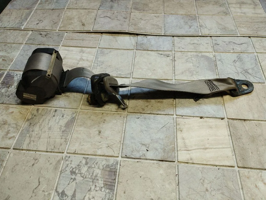 Pas bezpieczeństwa tylny 33028573
