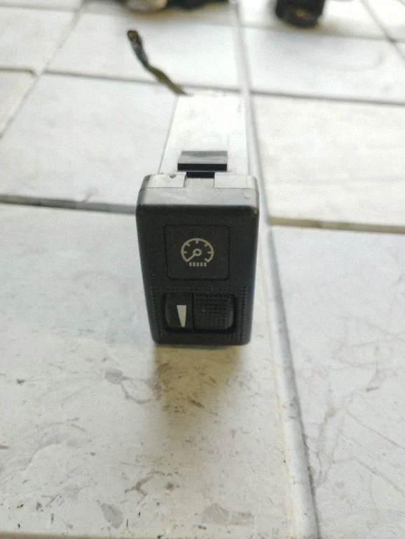 Panel lighting control switch