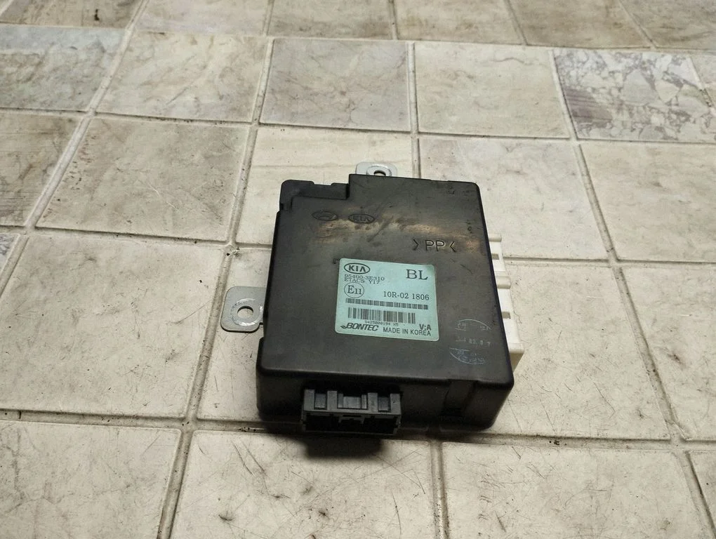 Kesklukustuse juhtplokk 954003E310