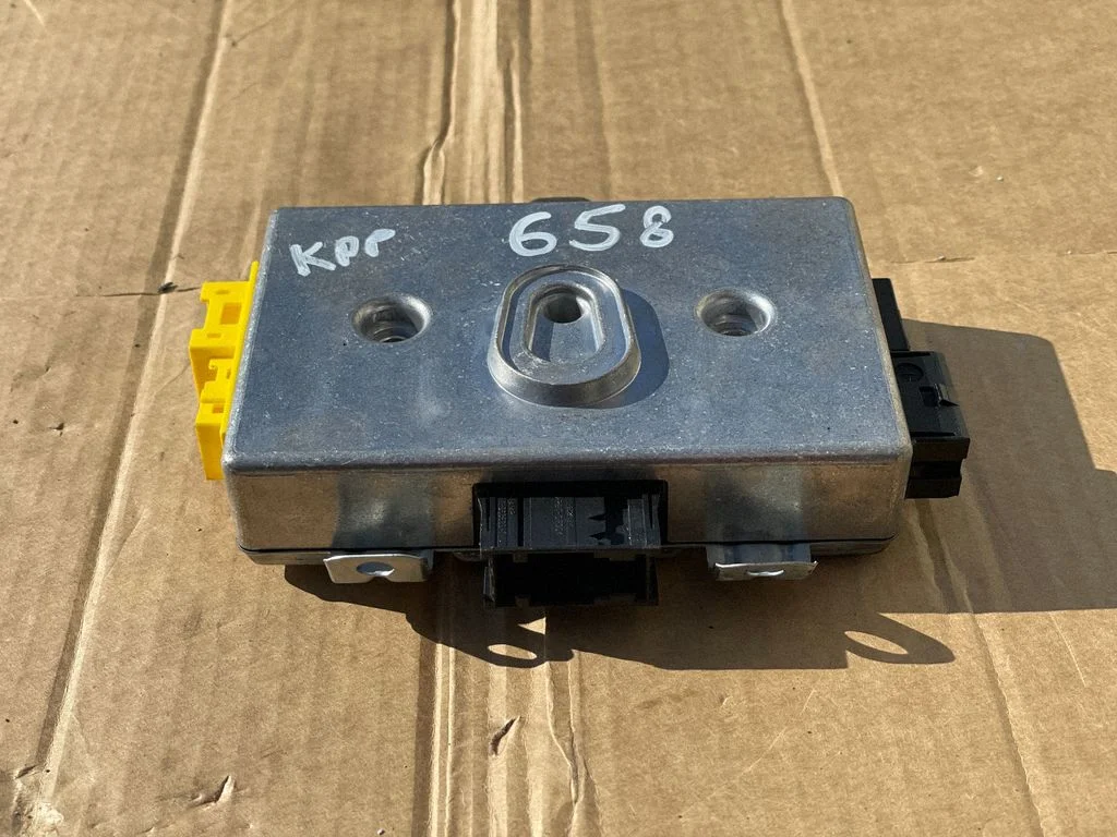 Door control unit/module 61356952987