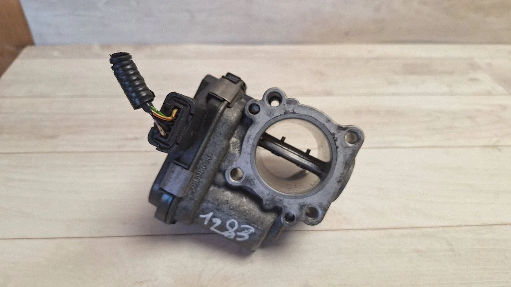 Throttle valve 9673534480