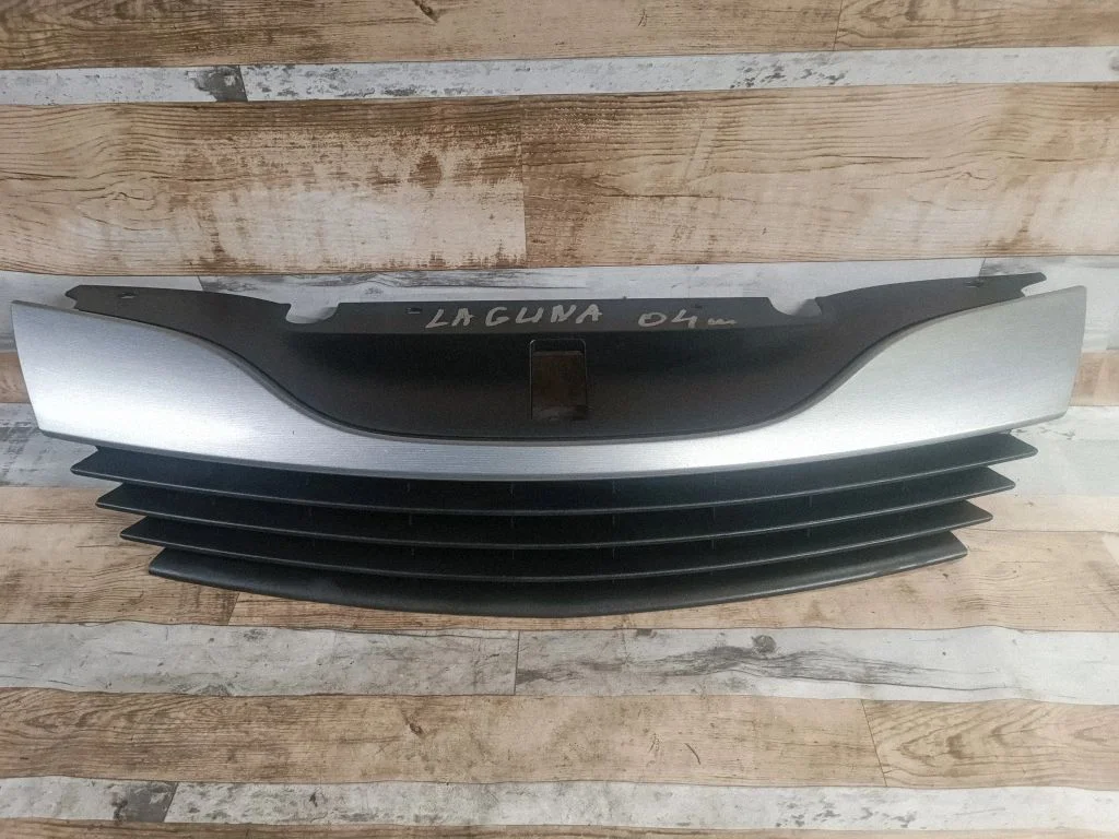 Front grill 42137