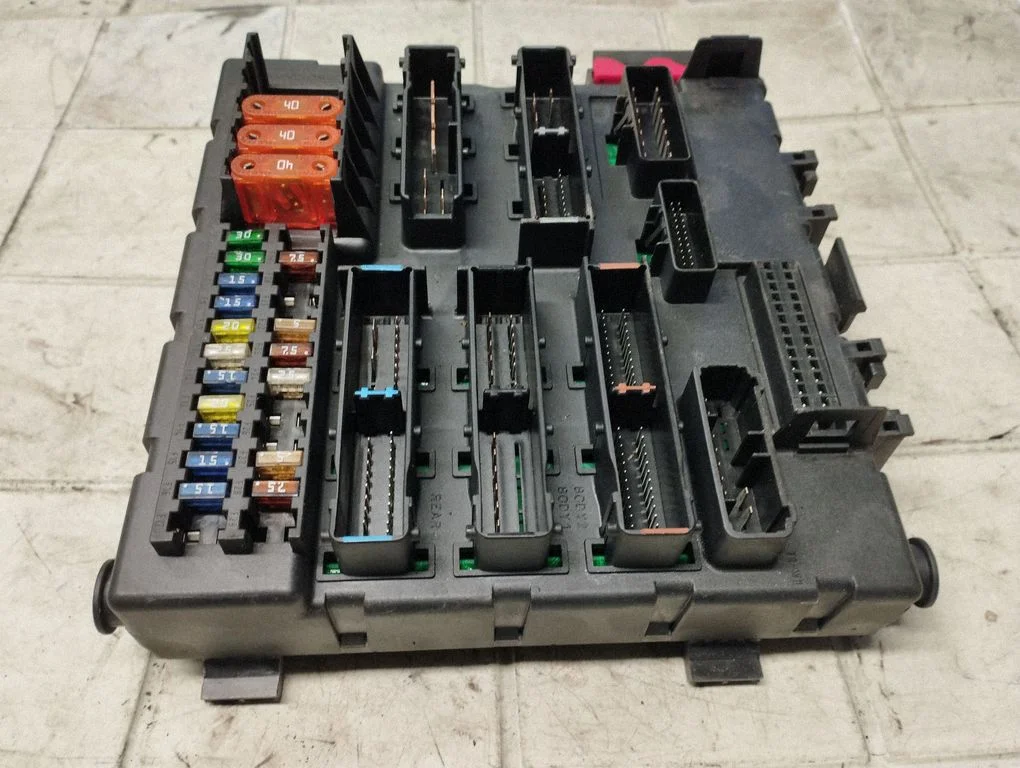 Fuse module 13125484