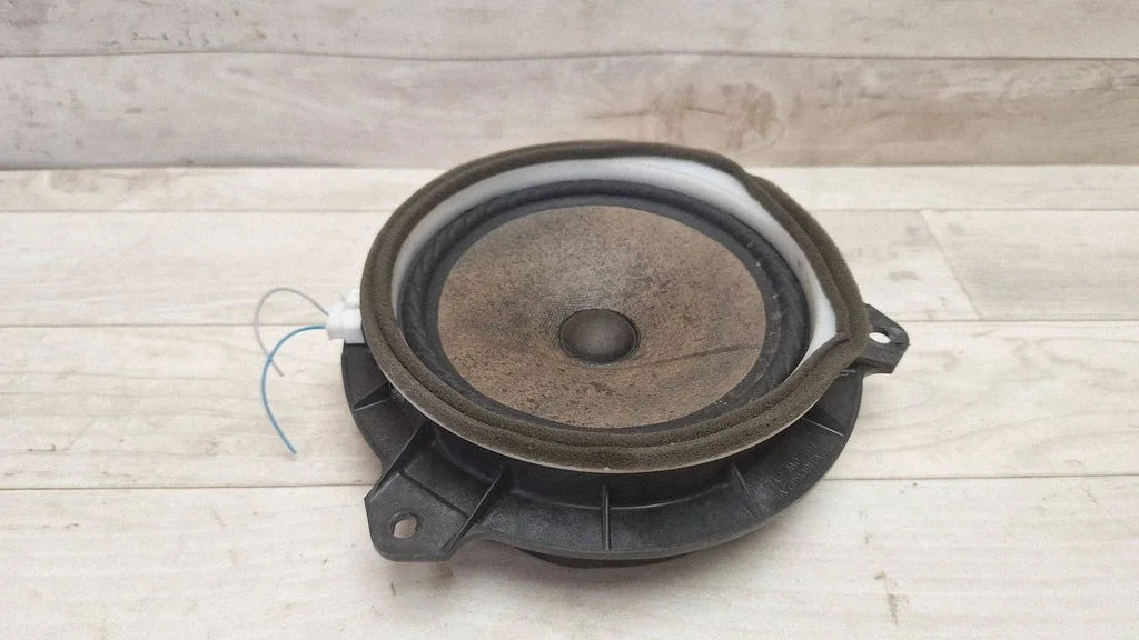 Front door speaker 861600D180