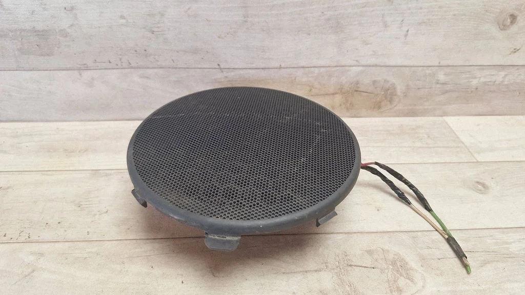 Front door speaker