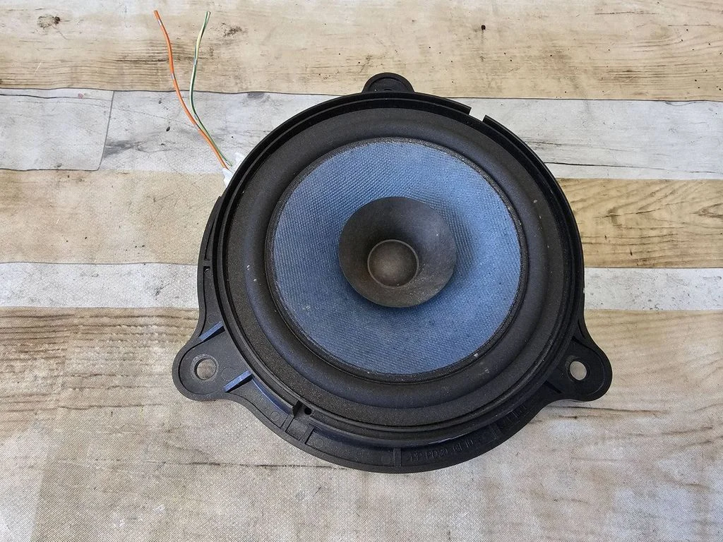 Front door speaker EAS16P595B6