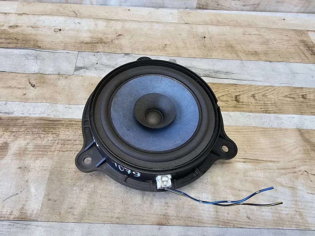 Front door speaker EAS16P595B6
