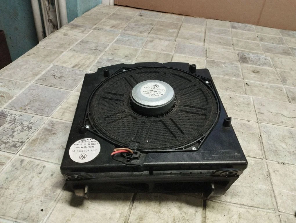 Subwoofer speaker 491043068605