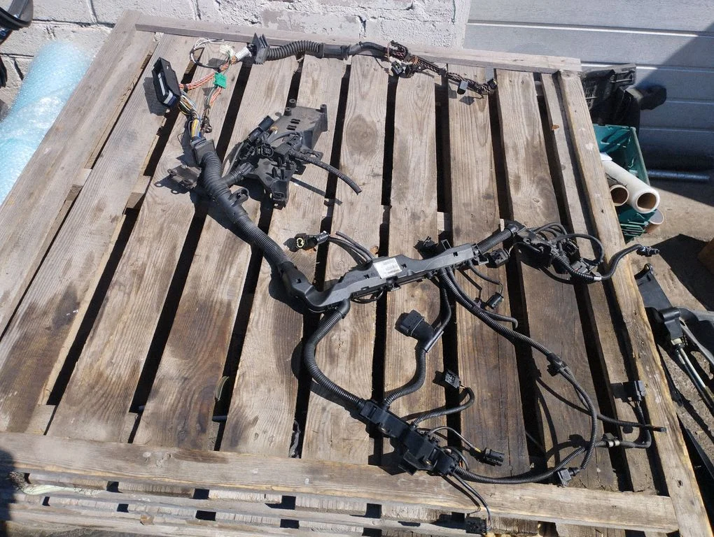 Engine installation wiring loom 758044905A