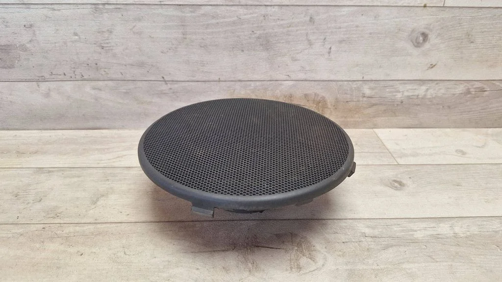 Rear door speaker