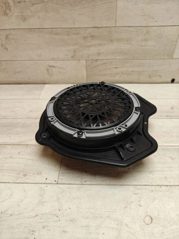 Rear door speaker 9634827480