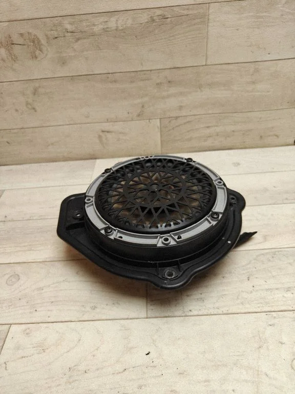 Rear door speaker 9634827480