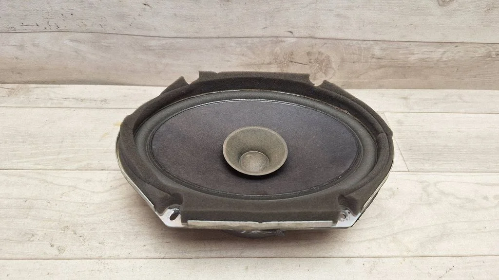 Głośnik w drzwiach tylnych 3M8118808CA