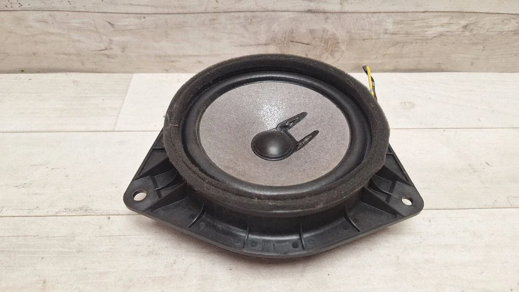 Rear door speaker 861600F030