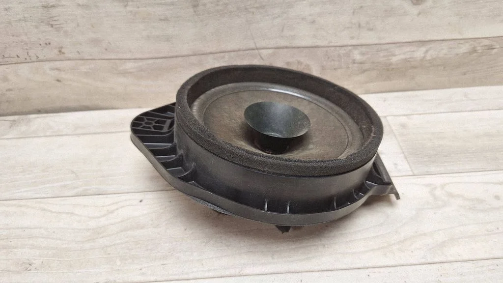 Rear door speaker – rear left