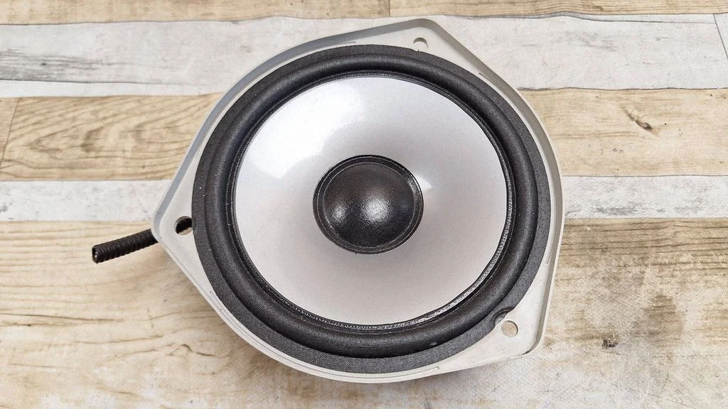Rear door speaker 16P663A